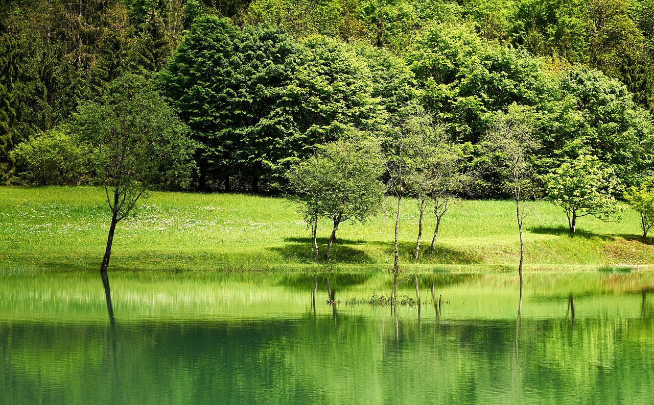 The Role of Environmental Activism in Society